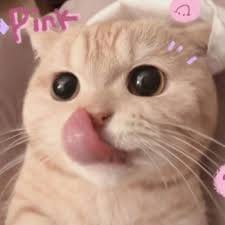 Adi Saputra profile picture