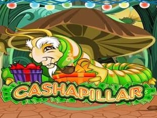 Cashapillar game icon